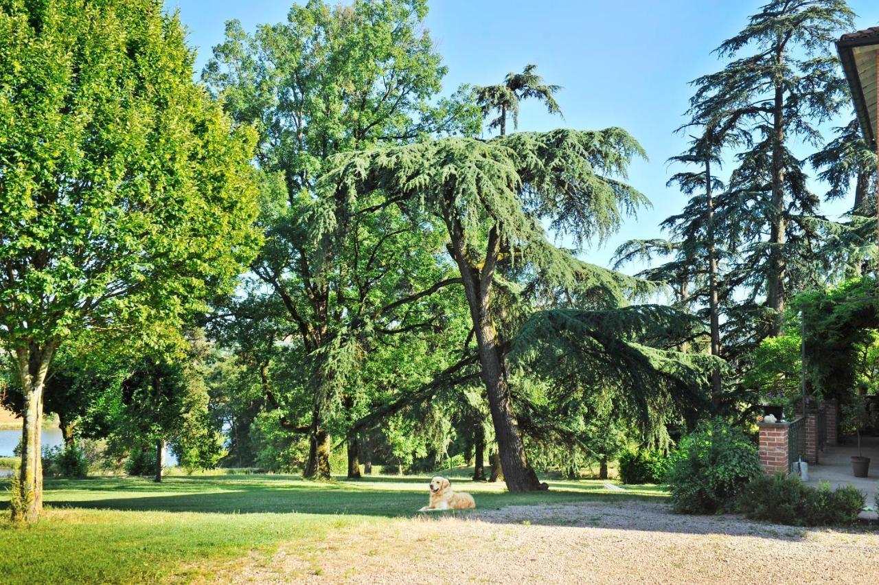 Clos Saint-Blaise อัลบี ภายนอก รูปภาพ